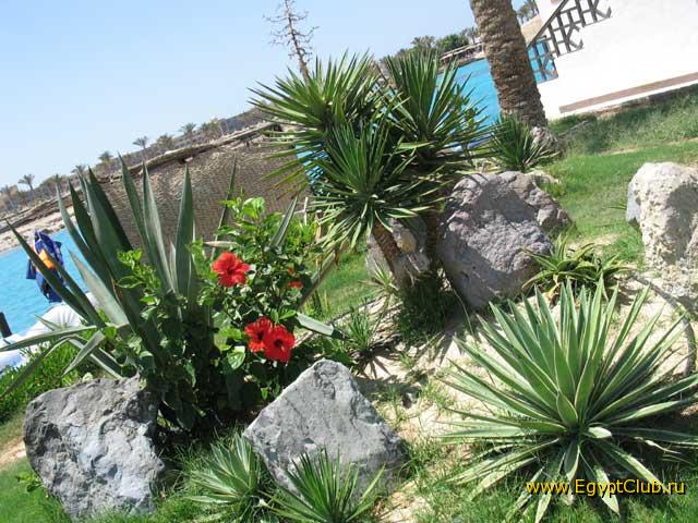 ���������� �������. ������� � ������.