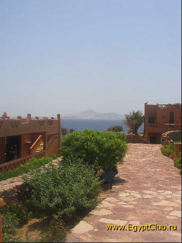 ����� ,����������