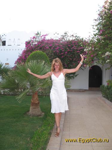 � ������� ������� Iberotel Arabella