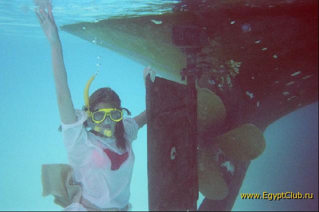 �� �����!