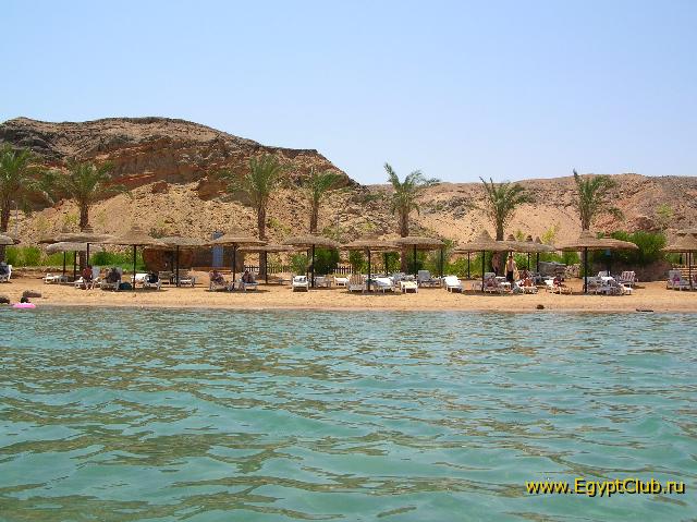 ����� ���������