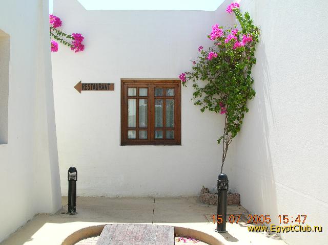 ����� ���������