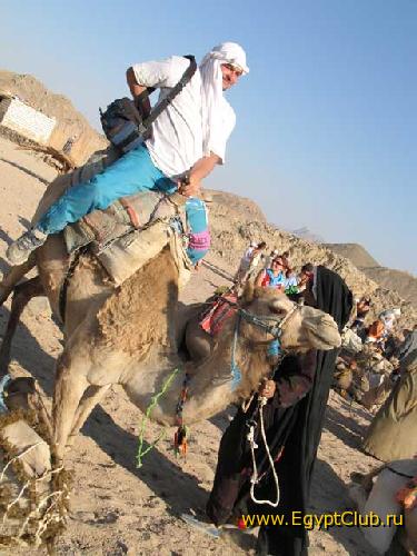 ������ �����-������