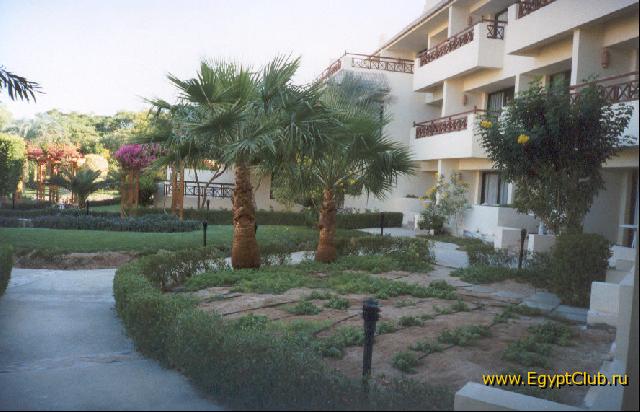 ��� �� ����� ������