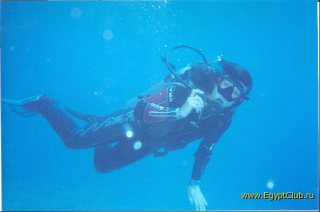 ��� �������