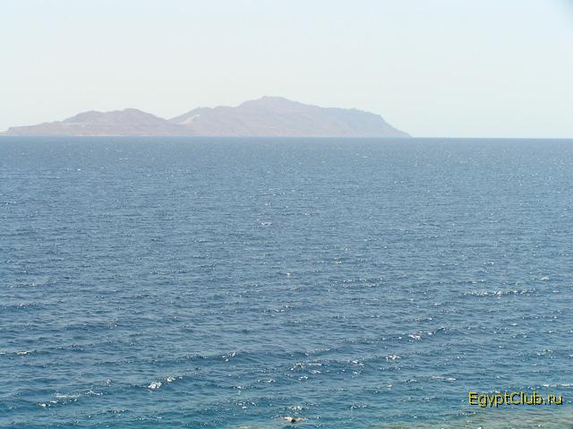 �. �����