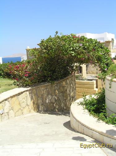 ������� ����