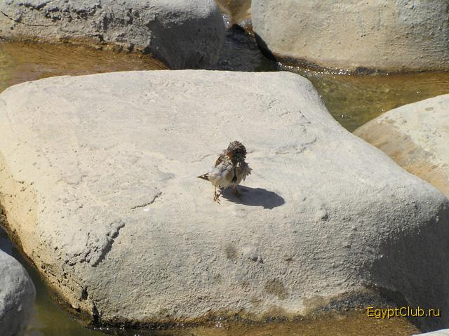 ����������.