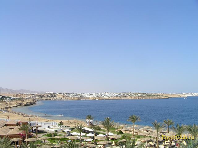 ����, ������...