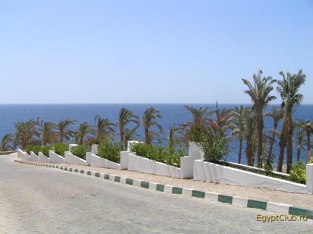 �� ������.