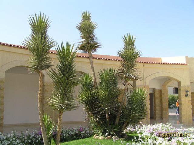 ������-������!