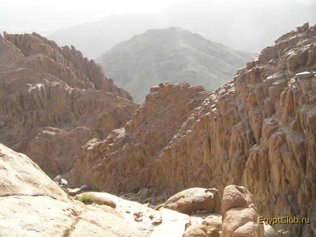 � �����.