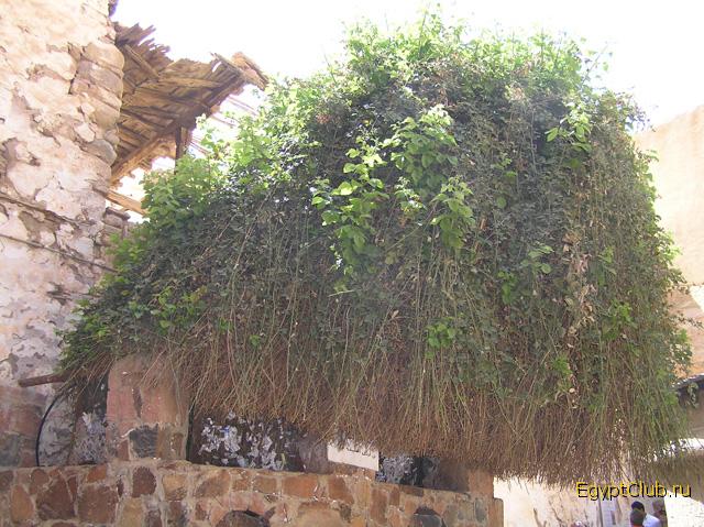 ���������� ������