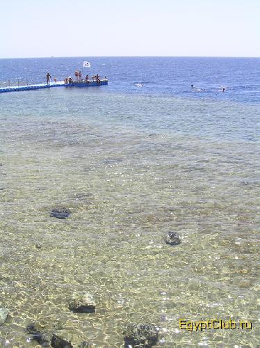 ��� �� ������