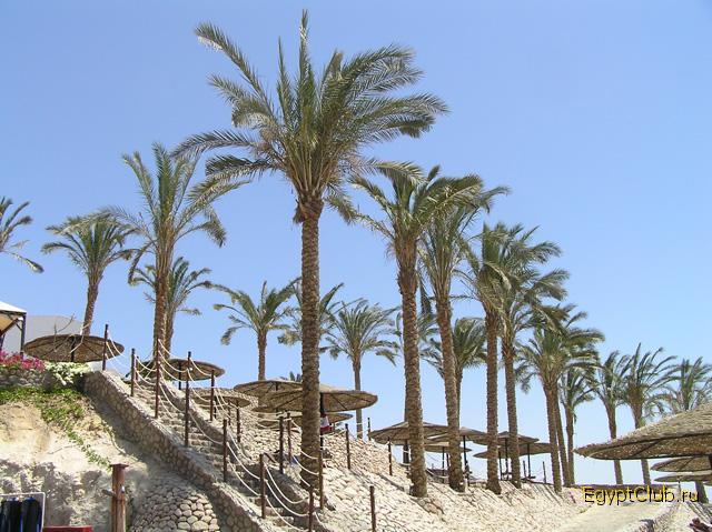 ���� �� ������ �� �����.