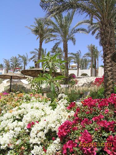 ����� �����.