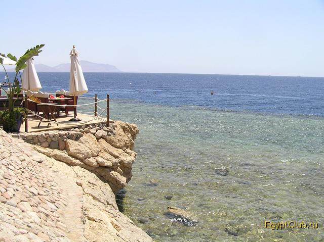 ��� �� �.����� � ����� ����� ������.