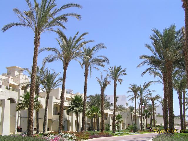 �������� ����� ������.