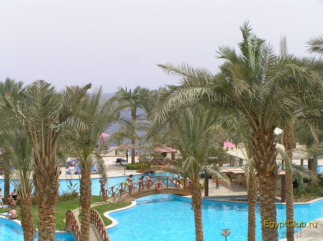 ������� ����� ������� �������.