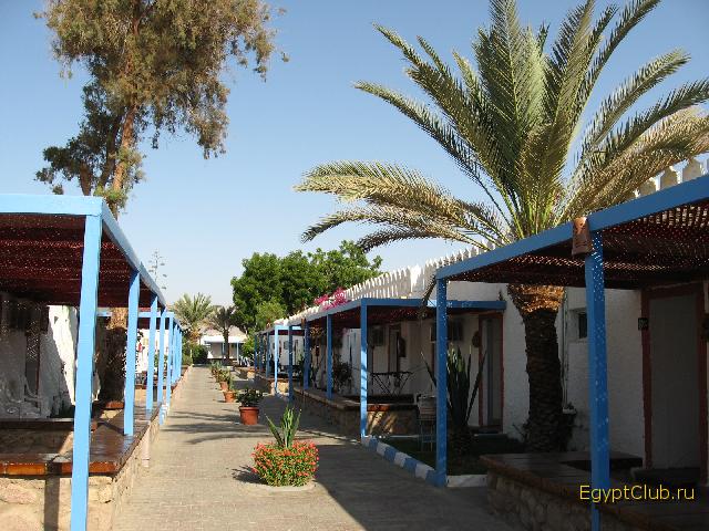 ��� ���������. ���