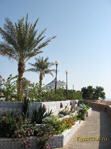 ��� ���������. ���