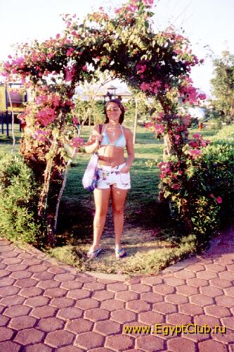 Flowers Arch