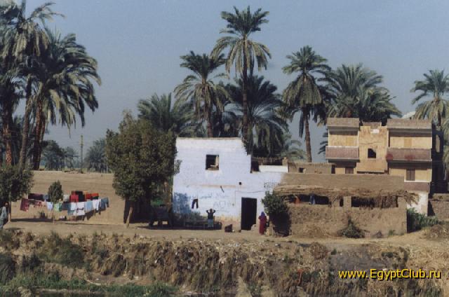 ���� ������