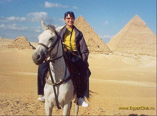 �������� ����