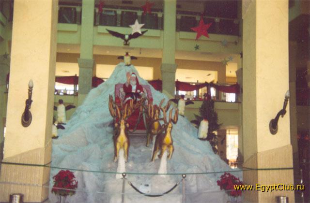 ���� �����