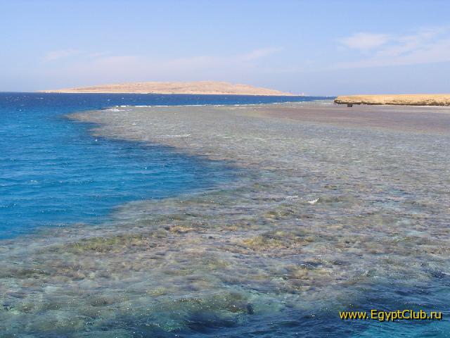 ���� � �������