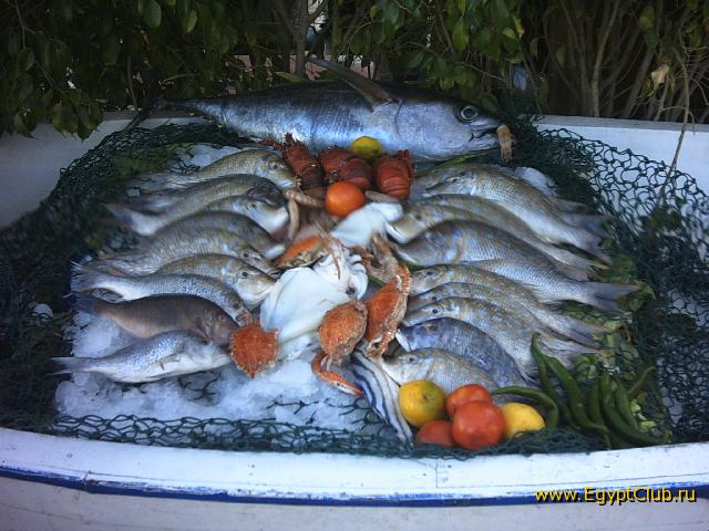 ���� ����