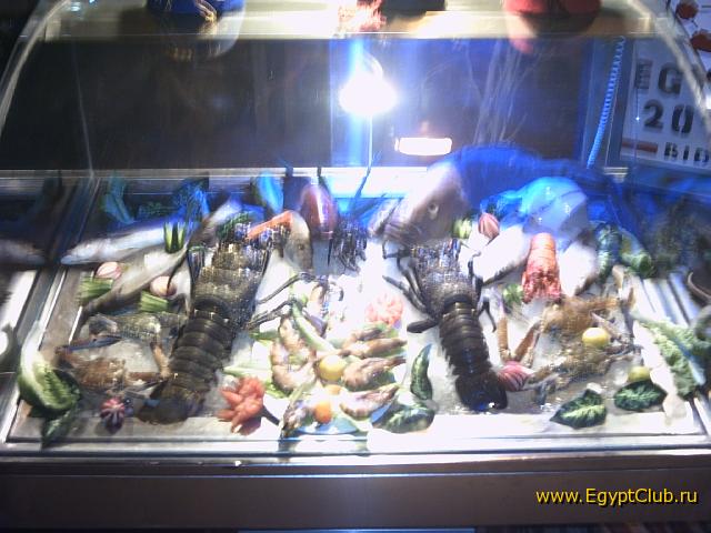 ���� ����