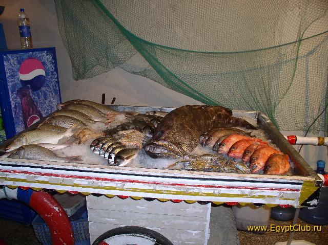 ��������� ����!