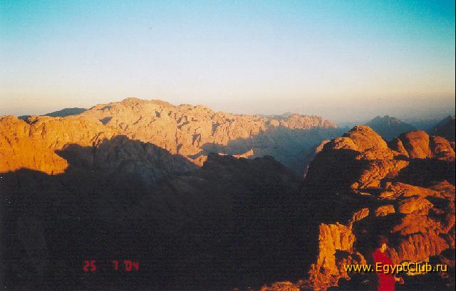 ���� ������