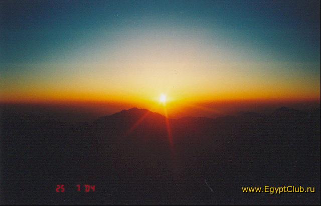 ���� ������