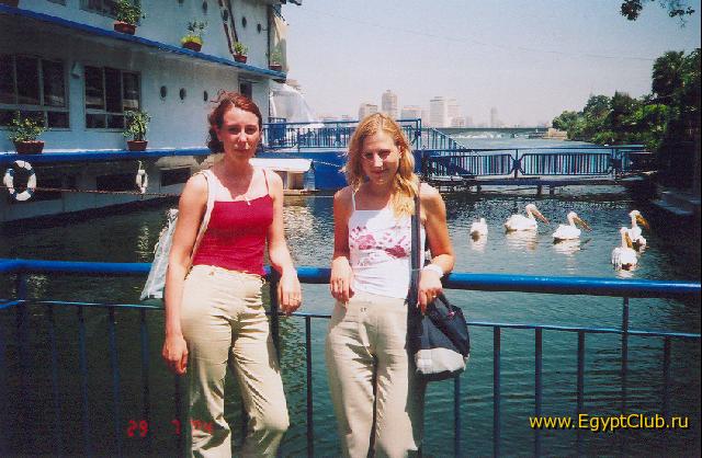 ����. �������� �� ���� 