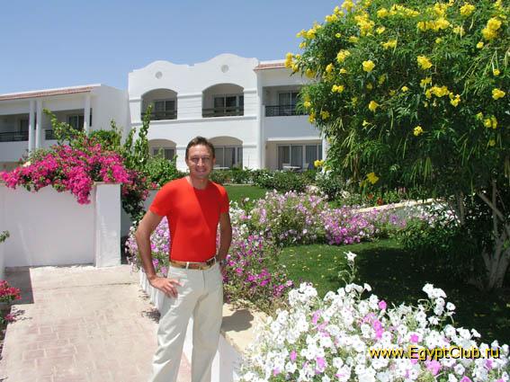 �� ���������� �����