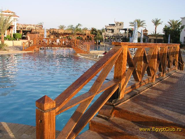 ����� �������� ��������