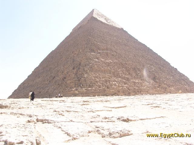 ��� ��� �� ������