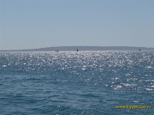 ���� �������� ����