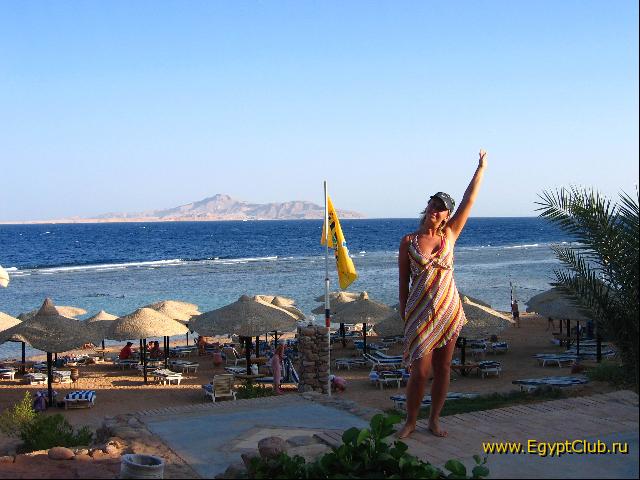 ��� �� ����