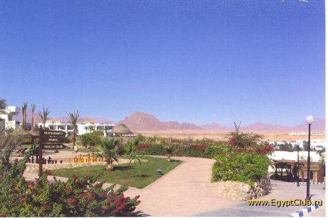 ����� ��� �� ������