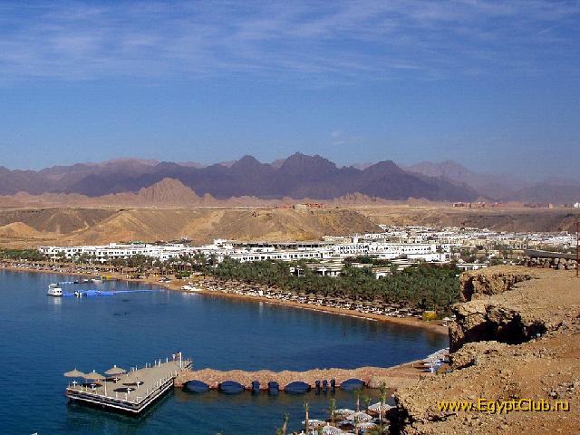 ����� ���� ����