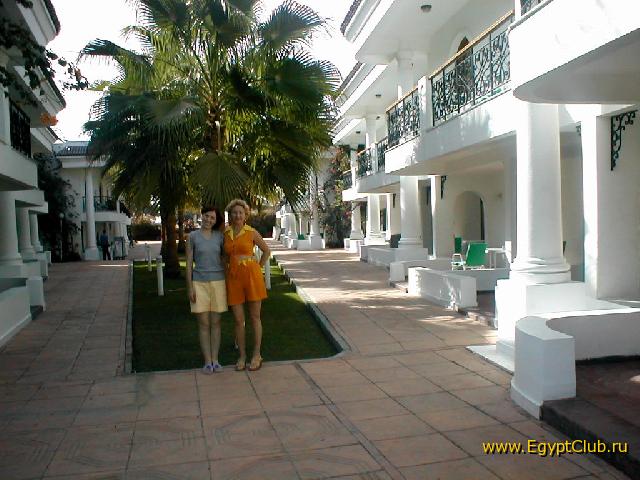 ����� ���� ����