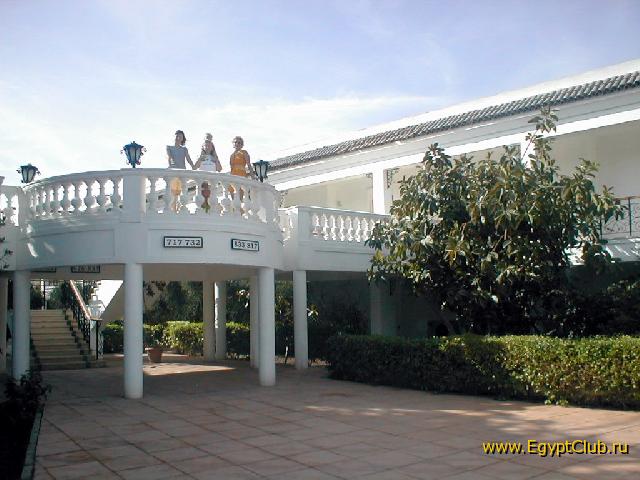 ����� ���� ����.