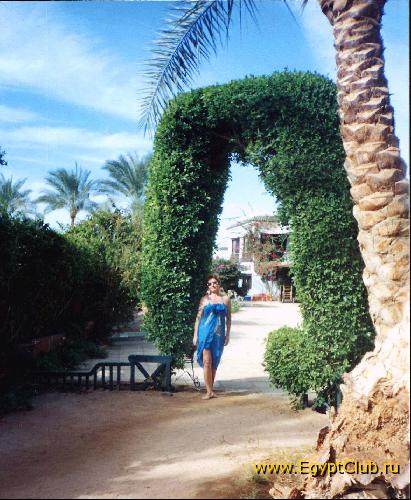 ����� ���� ����.