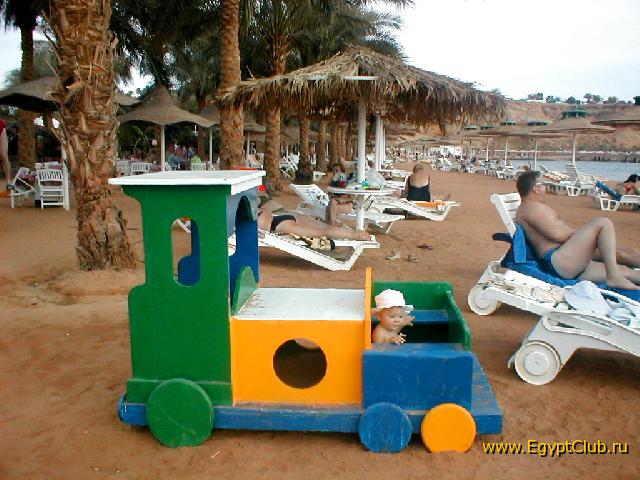 ����� ���� ����