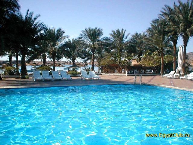 ����� ���� ����.