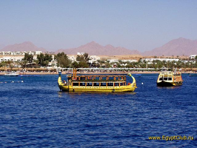 ����� ���