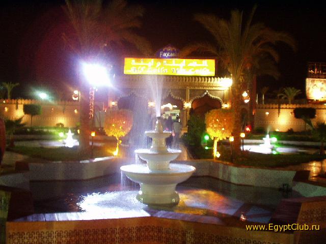 ���� ��� ����